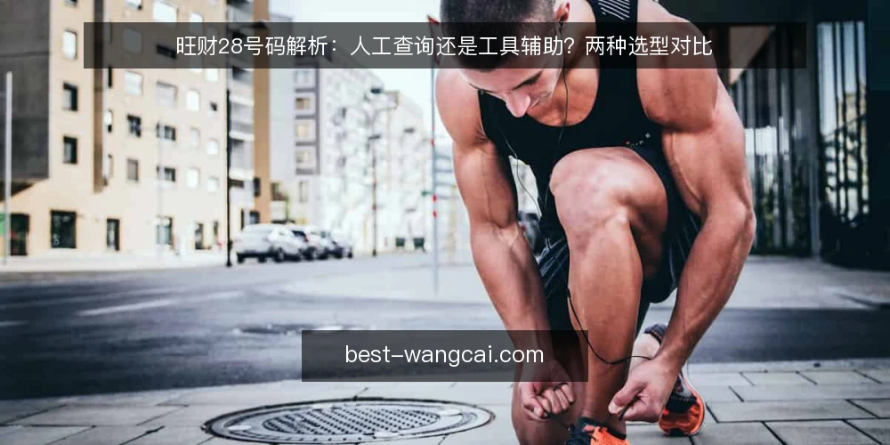 旺财28号码解析：人工查询还是工具辅助？两种选型对比 — 选型前先明确你的核心需求 配图