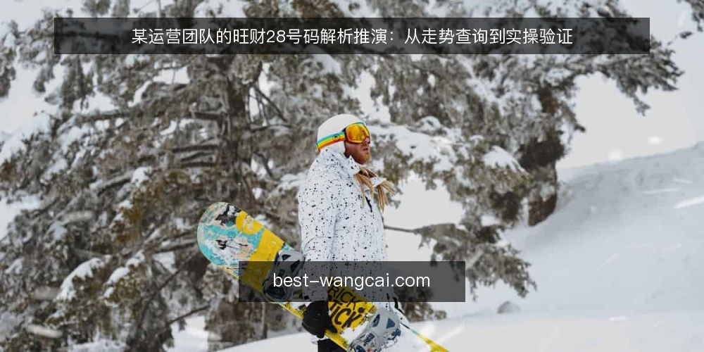 某运营团队的旺财28号码解析推演:从走势查询到实操验证 — 场景:查询需求背后的真实约束 配图
