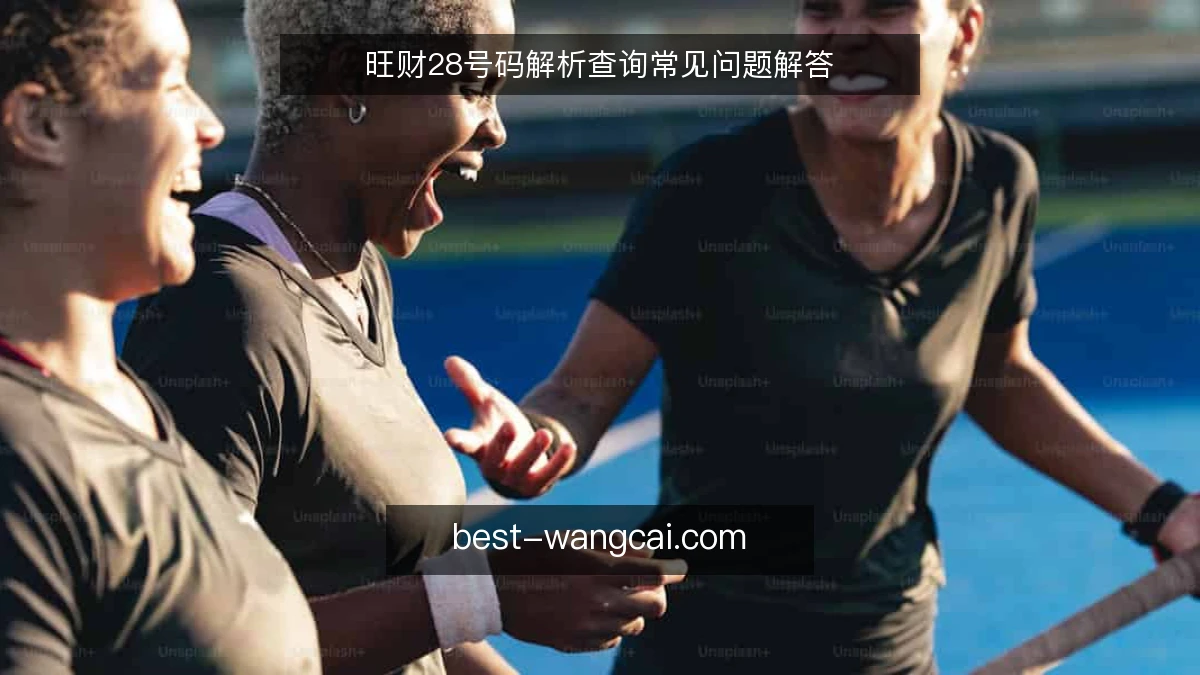 旺财28号码解析查询常见问题解答