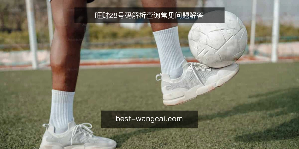 旺财28号码解析查询常见问题解答 — 旺财28查询时需要注意什么？ 配图