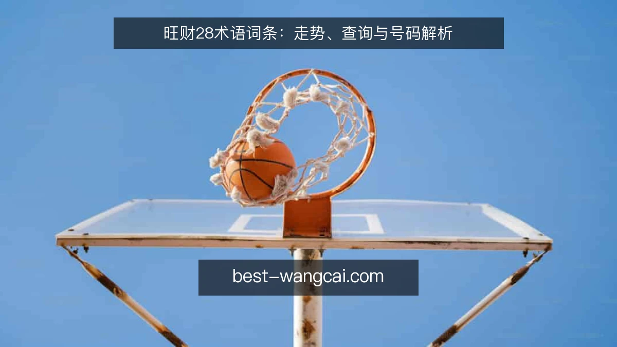 旺财28术语词条：走势、查询与号码解析
