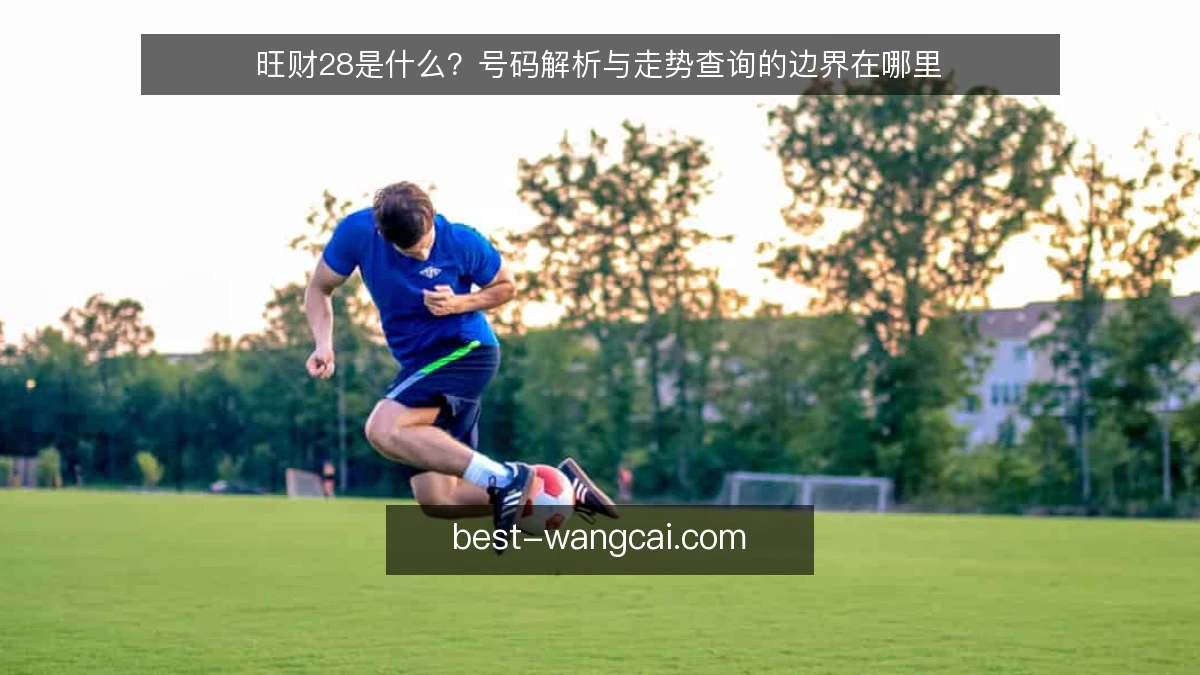 旺财28是什么？号码解析与走势查询的边界在哪里