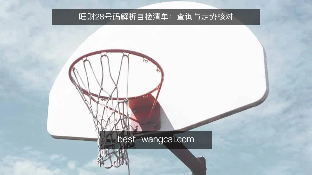 旺财28号码解析自检清单：查询与走势核对