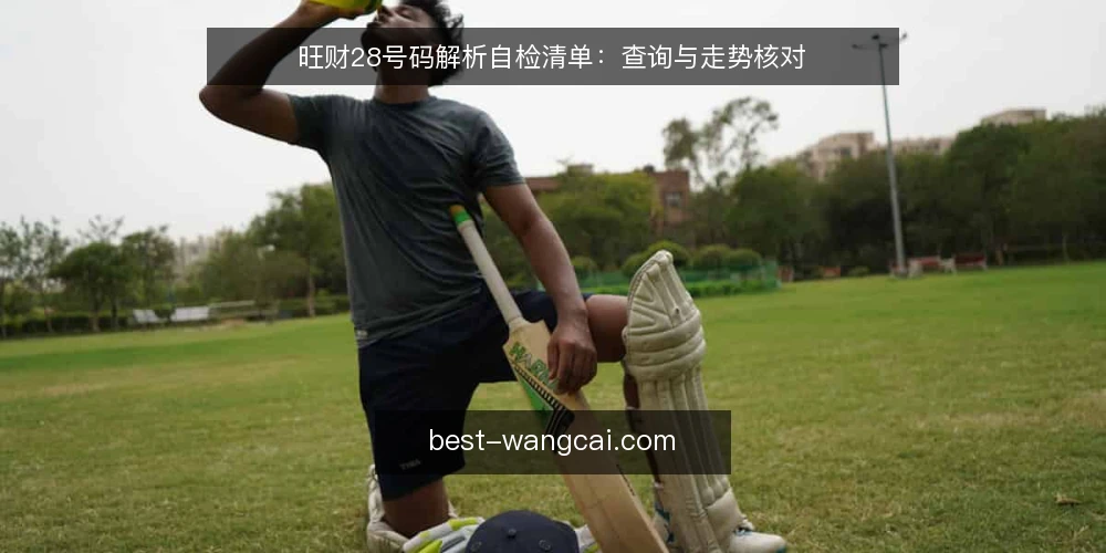 旺财28号码解析自检清单：查询与走势核对 — 为什么现在要做一次旺财28自检 配图
