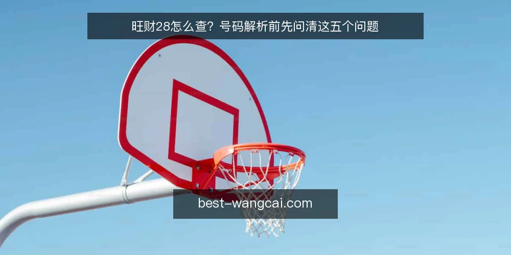 旺财28怎么查？号码解析前先问清这五个问题 — 先弄清旺财28查询到底在查什么 配图