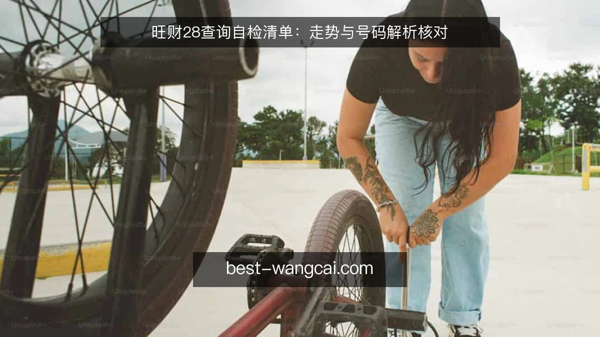 旺财28查询自检清单：走势与号码解析核对