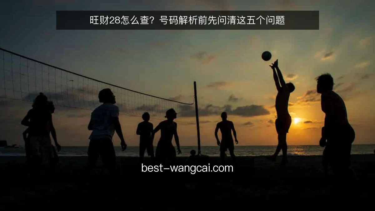 旺财28怎么查？号码解析前先问清这五个问题