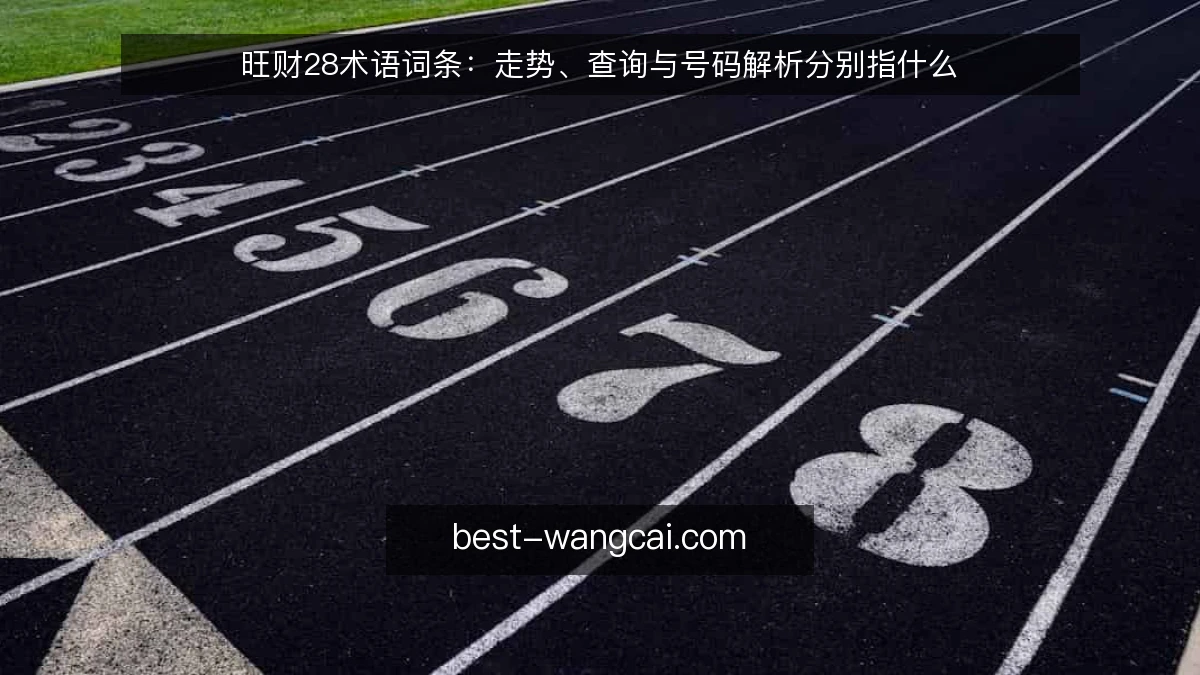 旺财28术语词条：走势、查询与号码解析分别指什么