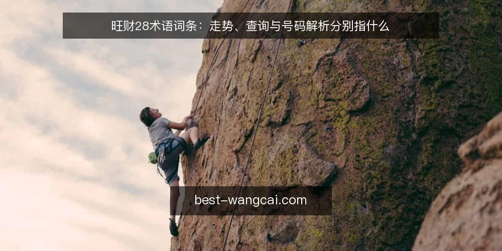 旺财28术语词条：走势、查询与号码解析分别指什么 — 先厘清术语边界：旺财28相关词条指什么 配图
