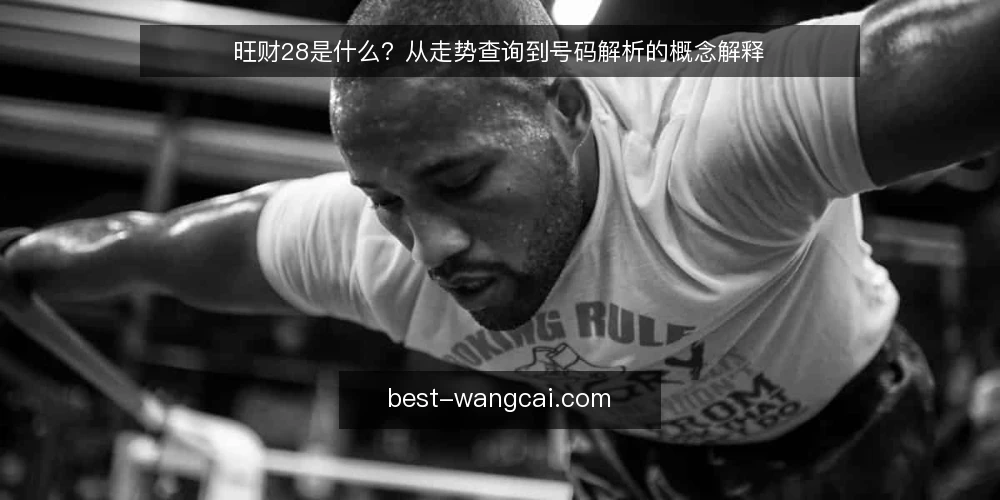 旺财28是什么？从走势查询到号码解析的概念解释 — 先看清操作中的真实困境 配图