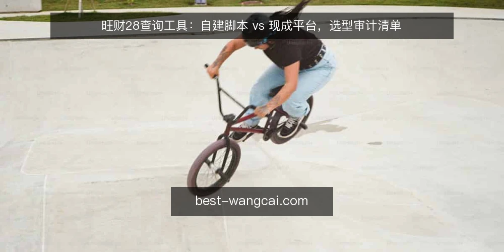 旺财28查询工具:自建脚本 vs 现成平台,选型审计清单 — 为什么现在要审计查询工具选型 配图