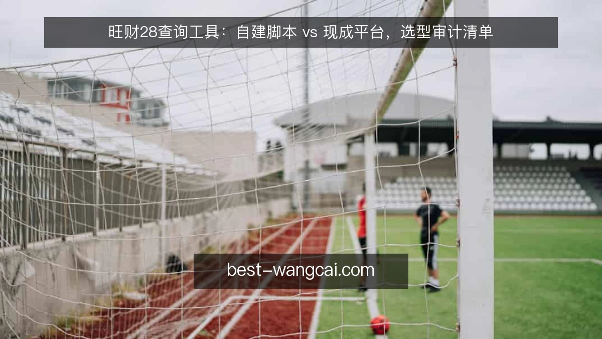 旺财28查询工具:自建脚本 vs 现成平台,选型审计清单